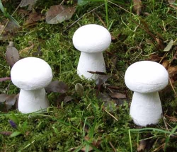 Watte-Pilz 62x30x20 mm