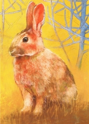 Loes Botmann - Kaninchen