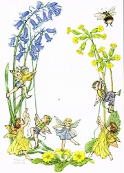 Molly Brett - Elfen und Frhlingsblumen
