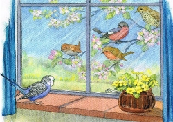 Molly Brett - Die Feier w�chst