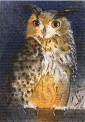 Loes Botmann - Waldohreule