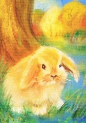 Natalya Yeshchenko - Der Hase