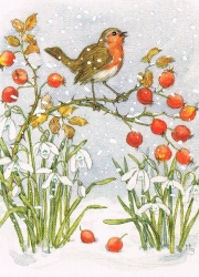 Molly Brett - Rotkehlchen und Hagebutten