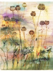 Magitta Dahlke - Wir kommen wieder