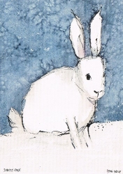 Jens Wolf - Schneehase