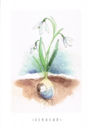 Stefanie Messing - Blumen im Februar - Schneegl�ckchen
