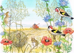 Molly Brett - Zwei in einem Zelt