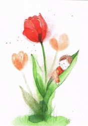 Stefanie Messing - Tulpen