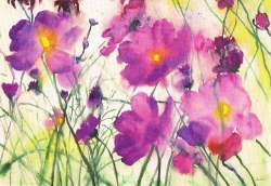 Dieter Hecht - Bl�hendes Feld