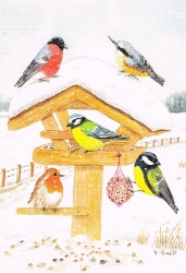 Helga Prei� - Vogelf�tterung