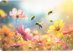 Riccardo Zamboni - Bienenwiese