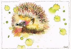 Claudia Brandt - Wo ist der Spiegel (Igel)