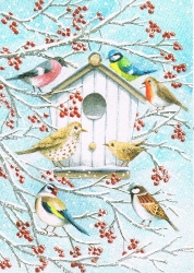Tim Mason - Winterv�gelchen
