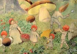 Elsa Beskow - Blumenkinder sammeln Pilze
