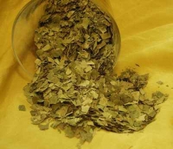 Birkenbltter, 100 g