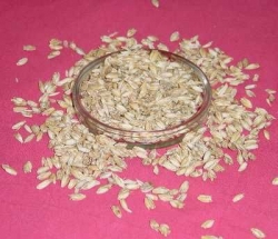 Dinkelspelzen kbA, 1 kg