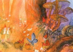 Daniela Drescher - Pilzzwerge