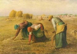 Jean-Francois Millet - Die hrensammlerin