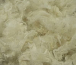 Schottlandflocke reinwei 50g